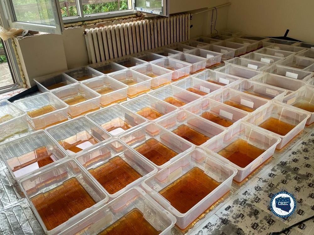 Gigantyczne uderzenie w narkobiznes. Fabryka działała pod Koninem