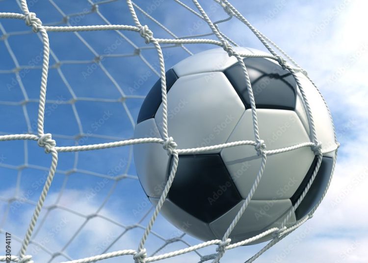 Sparowali i testowali