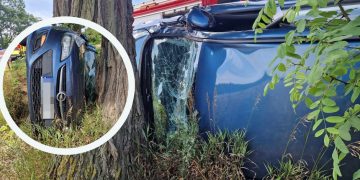 Groźnie na K92. Auto zatrzymało się na drzewie ZDJĘCIA
