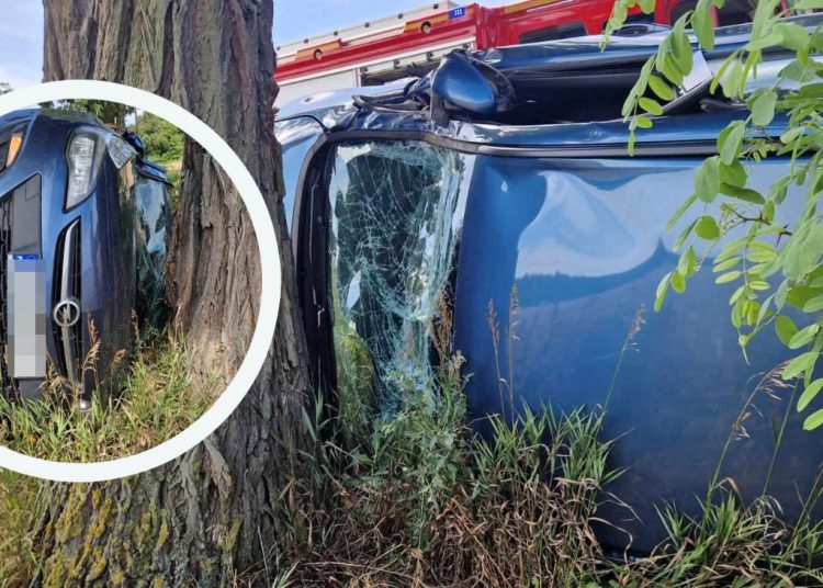 Groźnie na K92. Auto zatrzymało się na drzewie ZDJĘCIA
