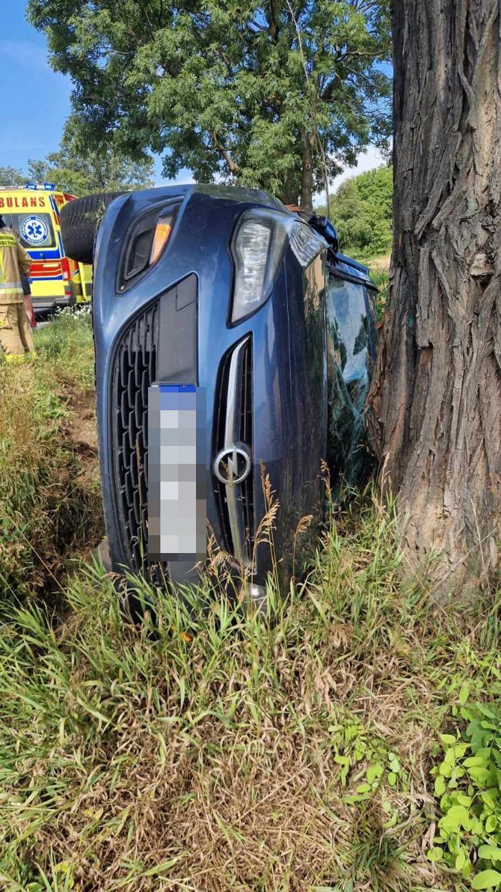 Groźnie na K92. Auto zatrzymało się na drzewie ZDJĘCIA