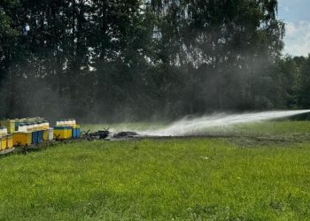 Ktoś podpalił ule. Właściciel wyznaczył nagrodę za wskazanie sprawcy