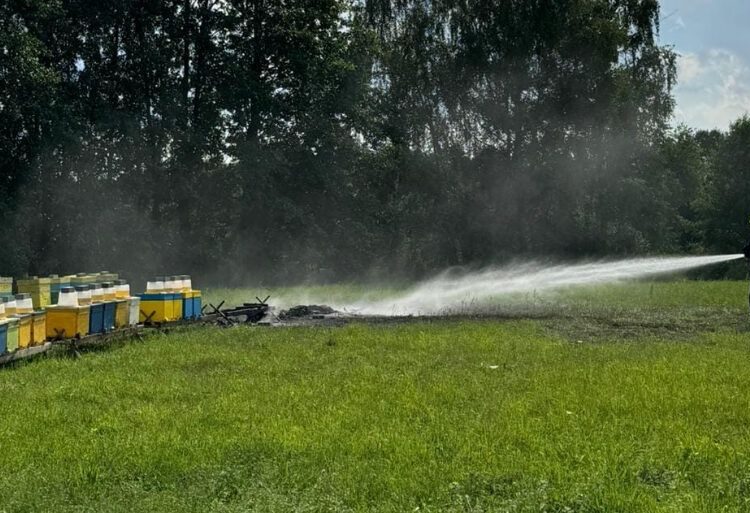 Ktoś podpalił ule. Właściciel wyznaczył nagrodę za wskazanie sprawcy