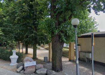 Dostali zgłoszenie o pożarze w słupeckim parku. Fałszywe