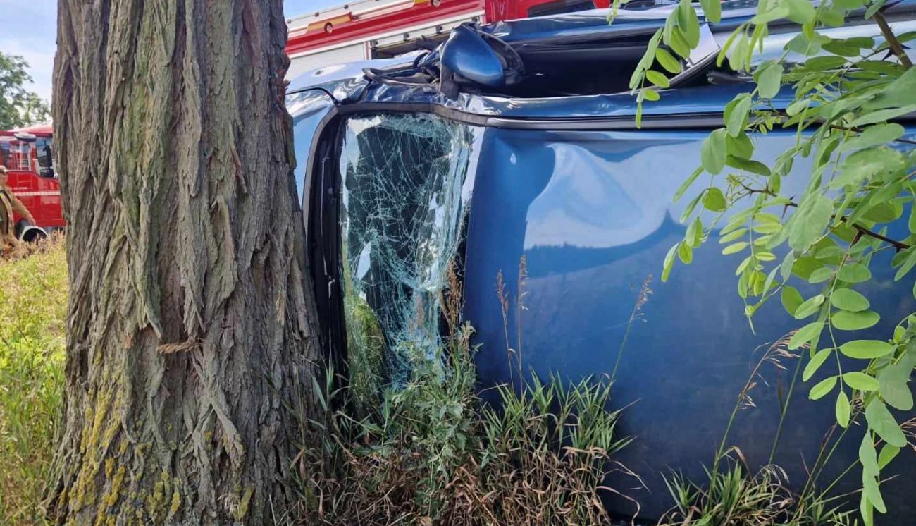 Groźnie na K92. Auto zatrzymało się na drzewie ZDJĘCIA