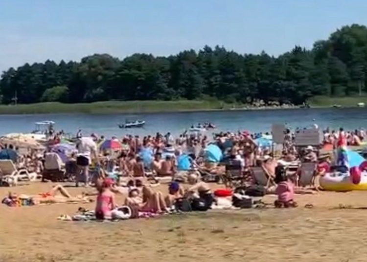 Zamieszanie wokół Przybrodzina. Gmina wyjaśnia