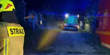 Nietypowa interwencja strażaków w Powidzu