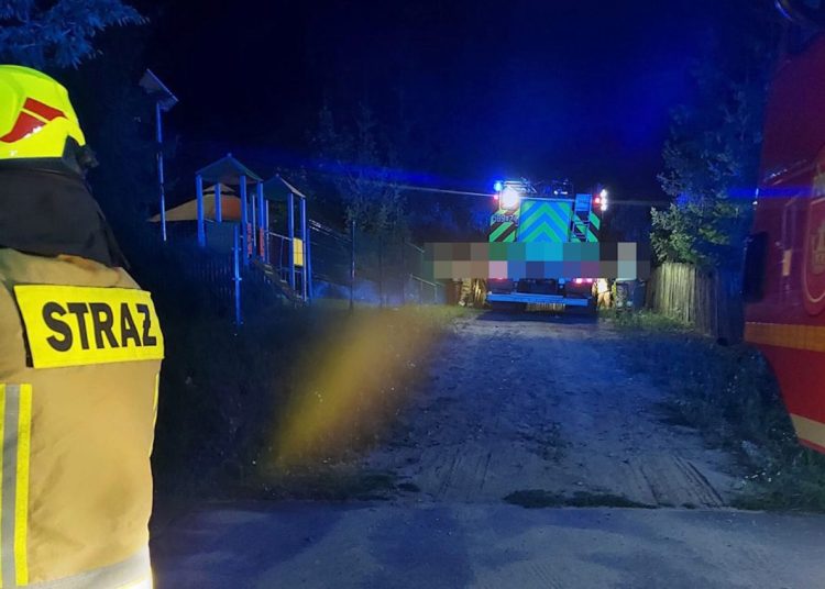 Nietypowa interwencja strażaków w Powidzu