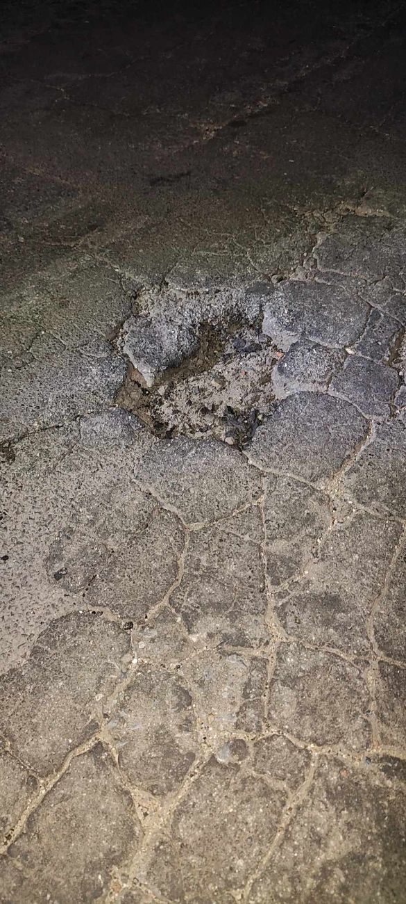 Radny Piasecki interweniuje w sprawie drogi