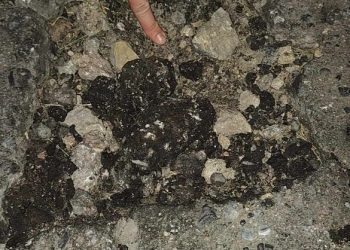 Radny Piasecki interweniuje w sprawie drogi