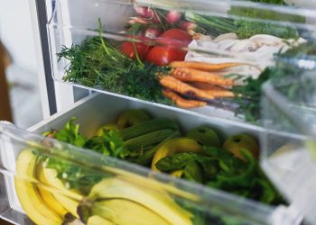 Jak wybrać lodówkę na działkę? Te wskazówki ci to ułatwią