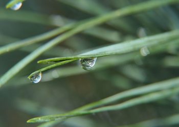 Jak efektywnie notować i zapamiętywać materiały z biologii?