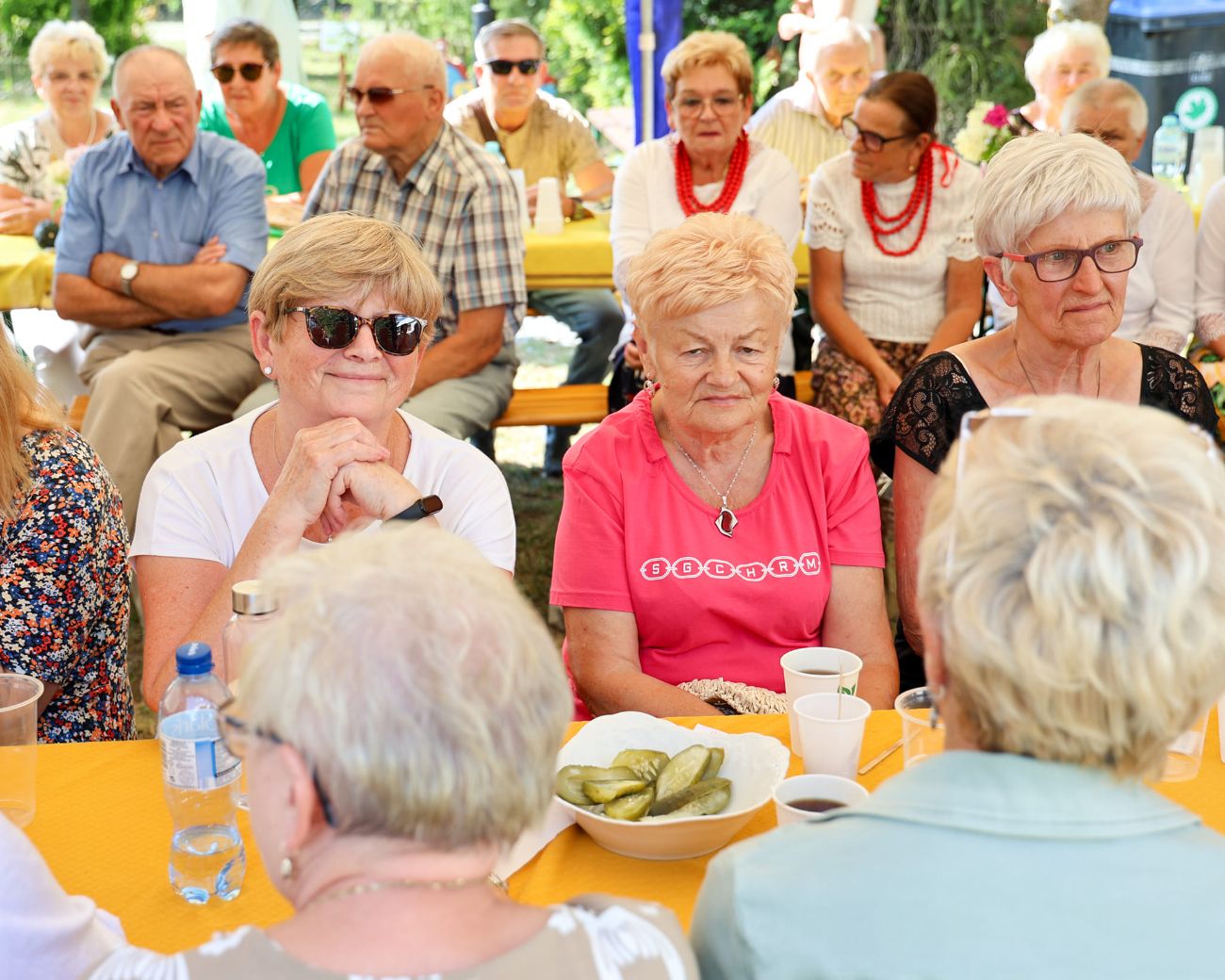 Działkowcy świętowali, były odznaki i wyróżnienia. Zobacz zdjęcia