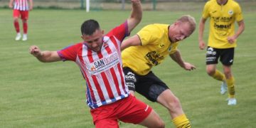 Wełna lepsza od Polanina