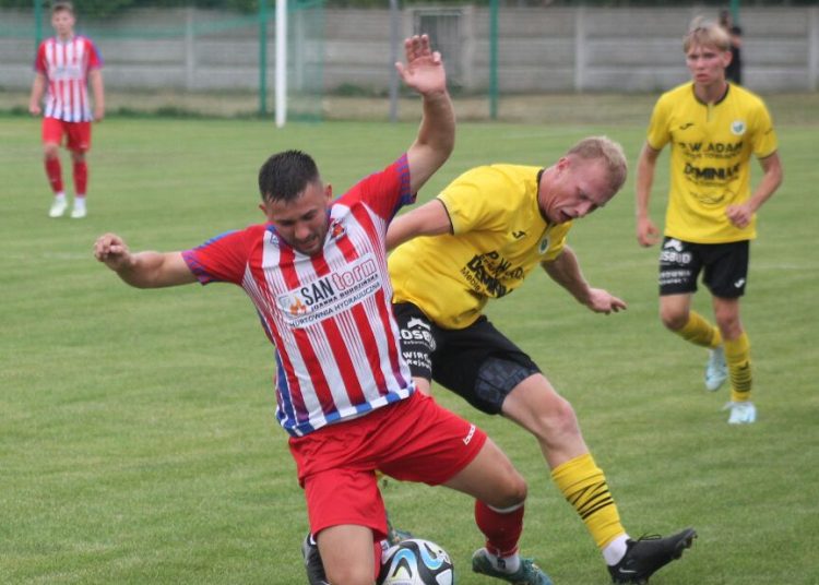 Wełna lepsza od Polanina