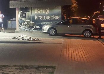 Policja ustaliła jak doszło do śmierci psa