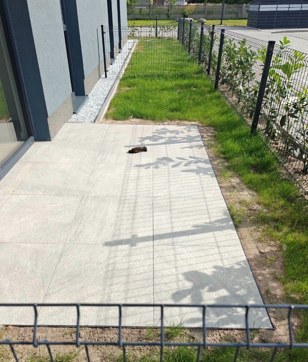 „Nowy blok i nowy problem. Giną ptaki”