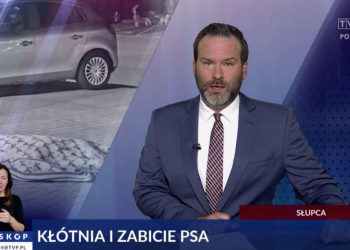 Kłótnia i zabicie psa. O Słupcy w telewizji