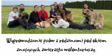 Dzień otwarty w schronisku. Zapraszamy!