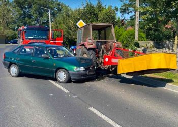 Groźnie w Wierzbnie. Jedna osoba w szpitalu