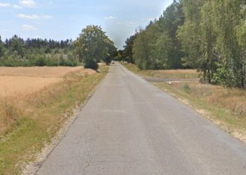 Kiedy ścieżka rowerowa do Giewartowa? Były starosta zwraca uwagę na drzewa