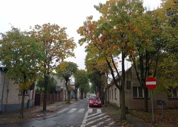 Na Placu Parysa przeszkadzają samochody. Radna chce zmiany organizacji ruchu