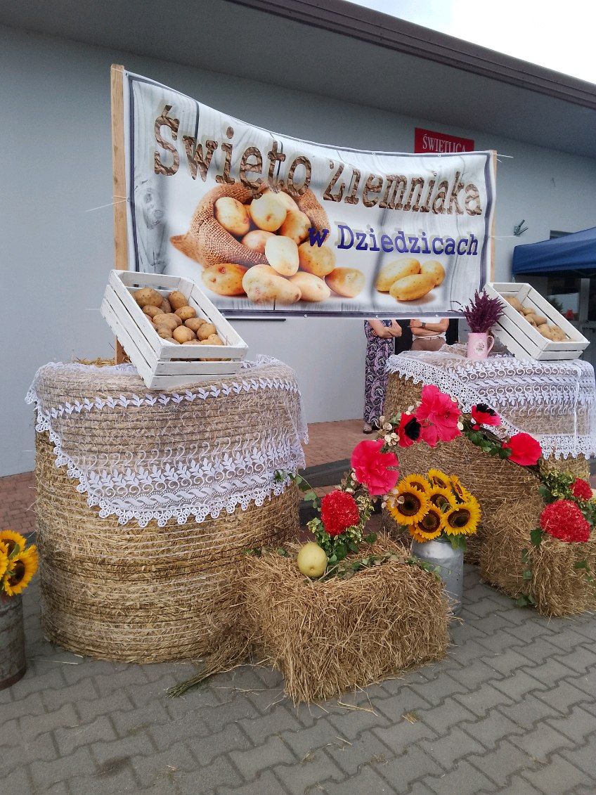 Fantastyczny festyn rodzinny Dziedzic i Dąbrowy