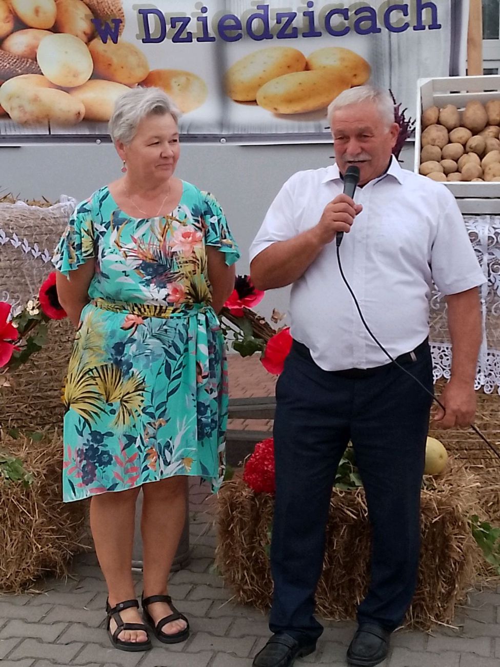 Fantastyczny festyn rodzinny Dziedzic i Dąbrowy