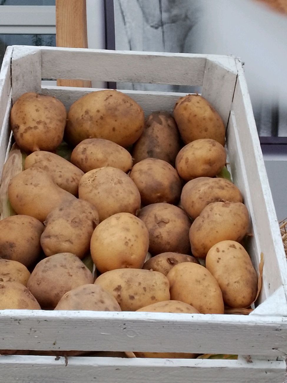 Fantastyczny festyn rodzinny Dziedzic i Dąbrowy