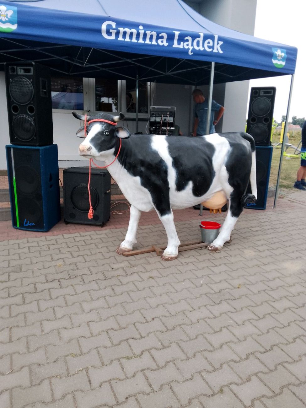 Fantastyczny festyn rodzinny Dziedzic i Dąbrowy