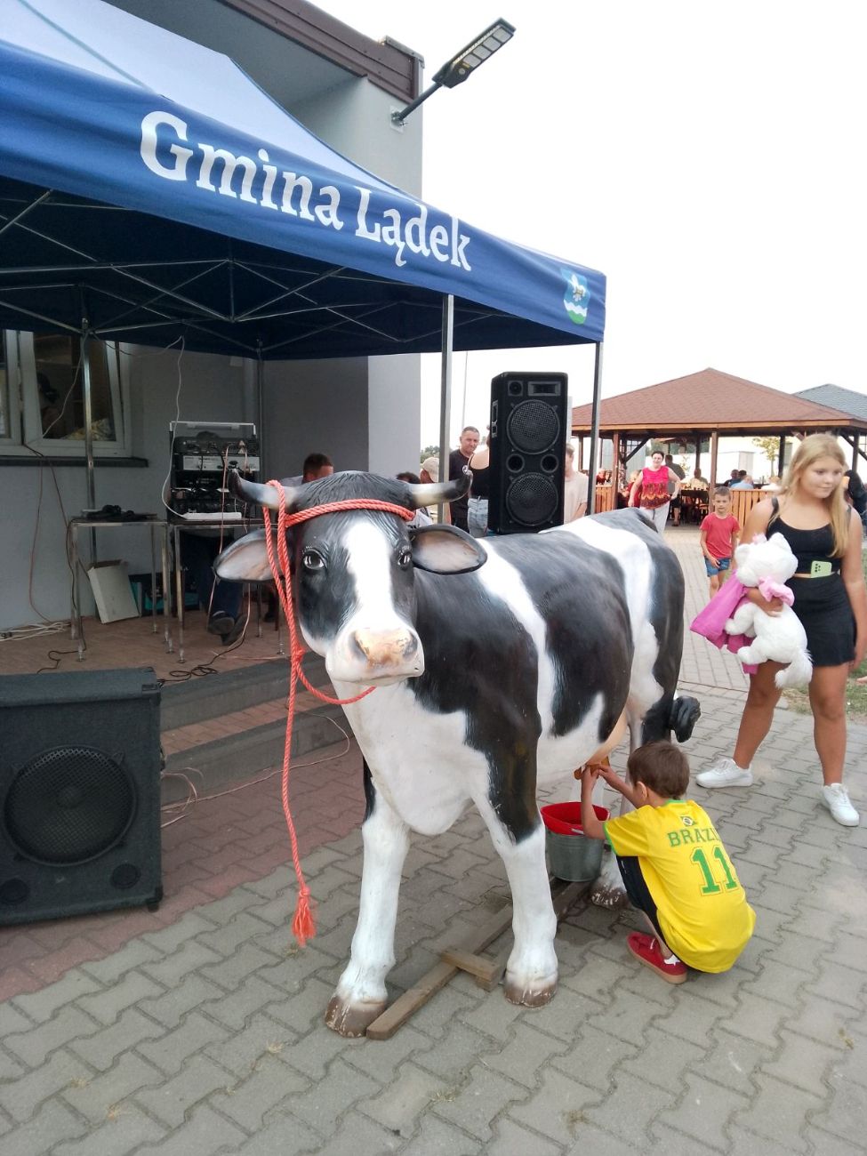 Fantastyczny festyn rodzinny Dziedzic i Dąbrowy