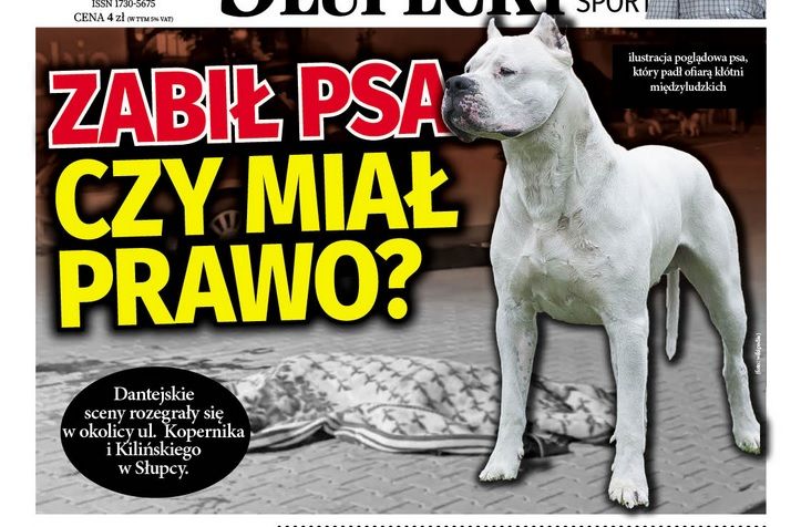 Pies konał na oczach przechodniów. Policja postawiła zarzuty