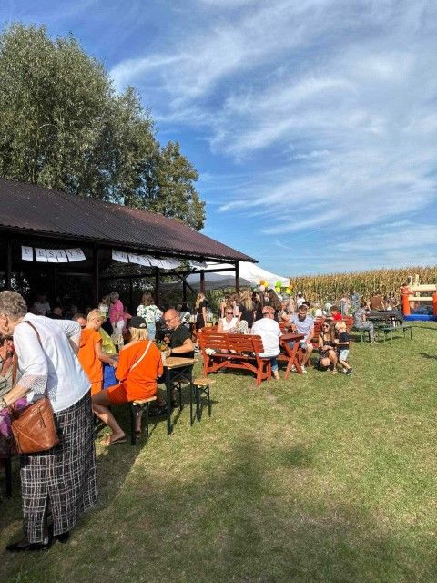 Koszuty dla Basi. Zobacz zdjęcia z festynu