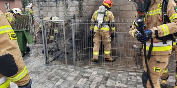 Paliły się budy dla psów