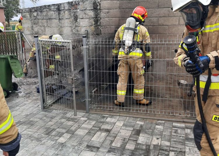 Paliły się budy dla psów