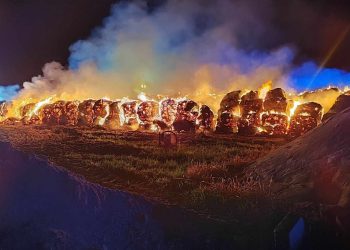 7 godzin walczyli z pożarem