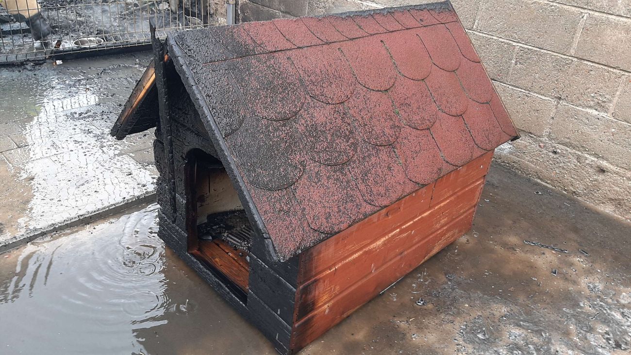 Paliły się budy dla psów