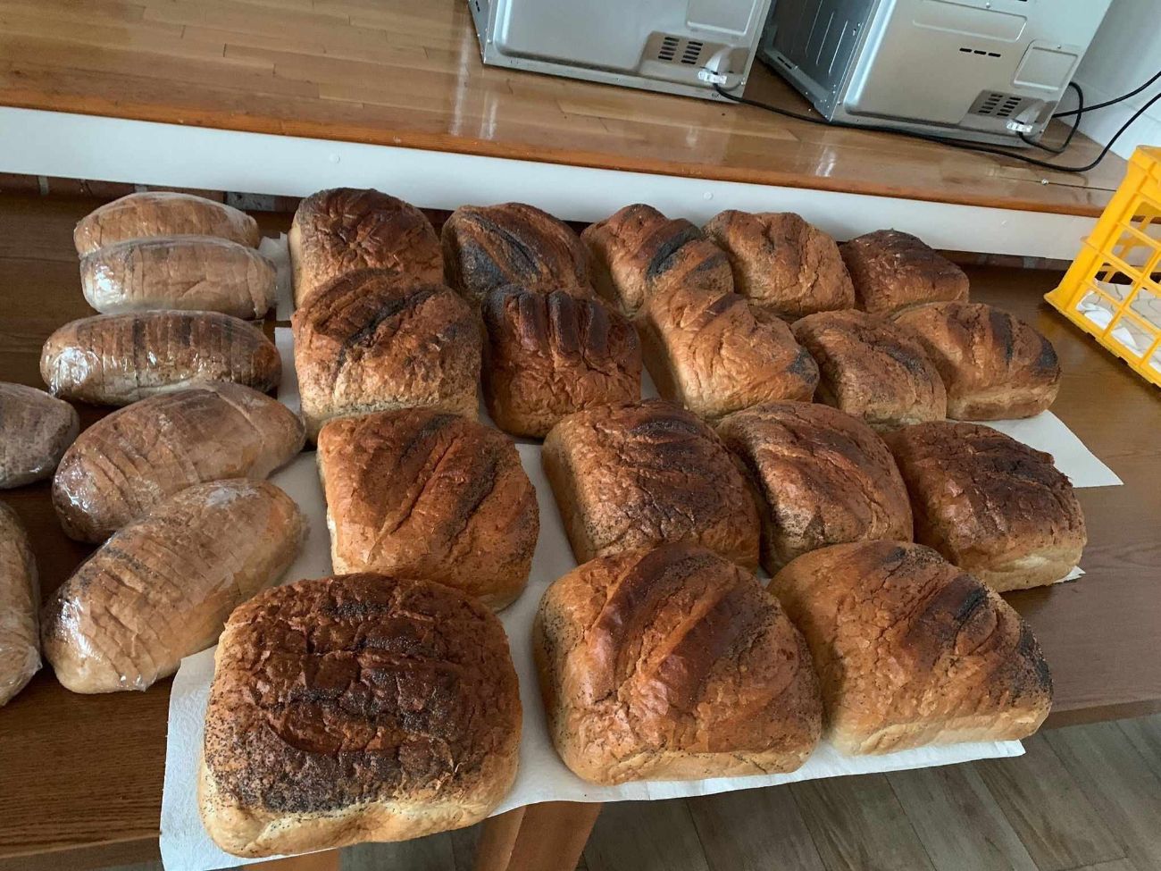 Fajne te „babki ” z gminy Lądek