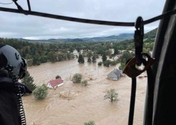 Kotunia pomaga powodzianom