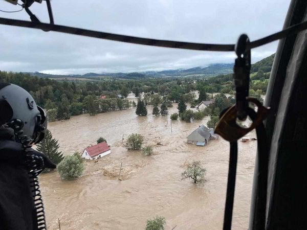 Kotunia pomaga powodzianom