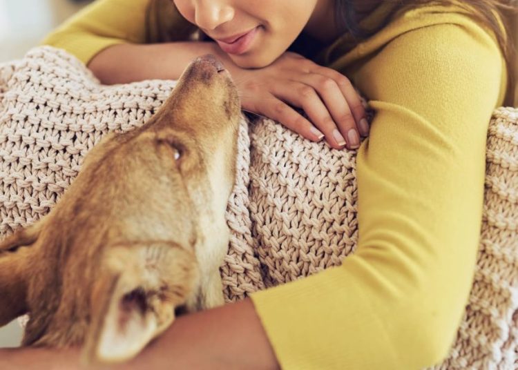 Olejek CBD dla psa — kiedy warto go stosować?