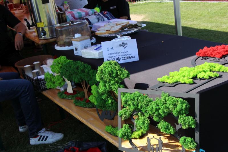 Pierwszy taki zlot. Zobacz zdjęcia