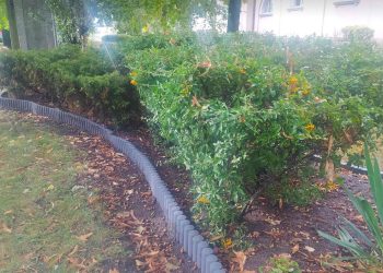 Mniej ludzi pracuje przy miejskiej zieleni. Radna interweniuje