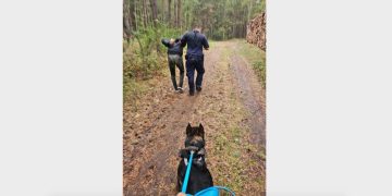 Żeby nie trafić do więzienia uciekł do lasu. Wtedy do akcji wkroczył Rambo