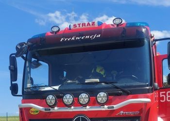 Dostali zgłoszenie o agresywnym psie. Na miejscu okazało się, że…