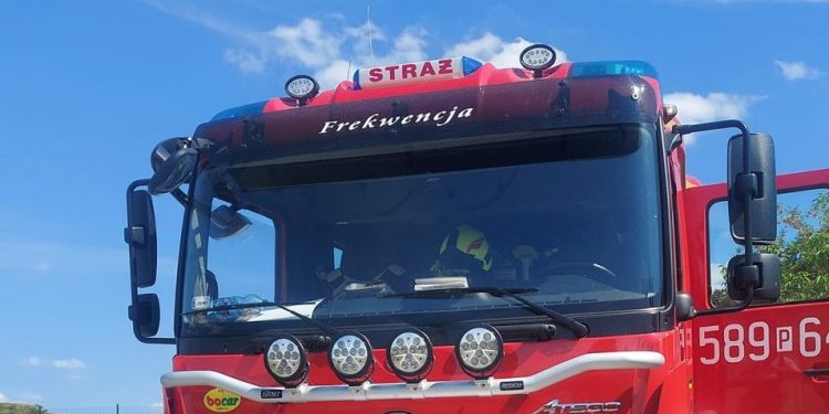 Dostali zgłoszenie o agresywnym psie. Na miejscu okazało się, że…