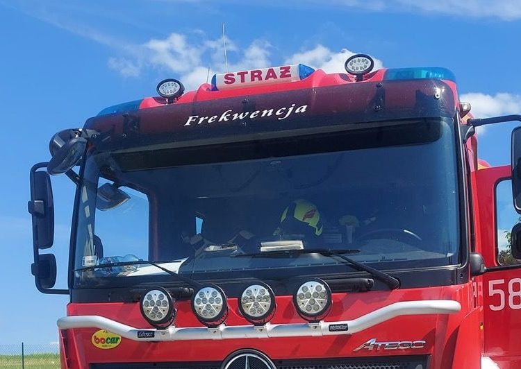 Dostali zgłoszenie o agresywnym psie. Na miejscu okazało się, że…