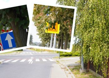 Ukryte znaki w Słupcy. Mieszkaniec zwraca uwagę na ważny problem