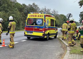 Psy pogryzły kobietę. Właściciel zwierząt ukarany