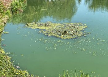 „Panie Burmistrzu, Państwo Radni – stawek śmierdzi coraz bardziej”